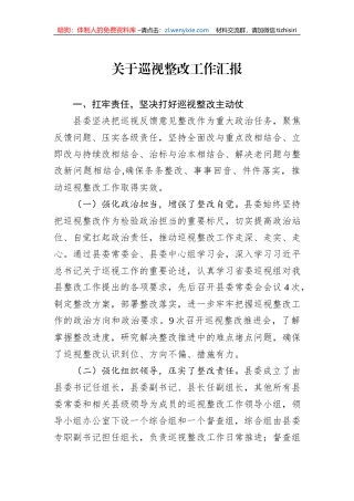 关于巡视整改工作汇报