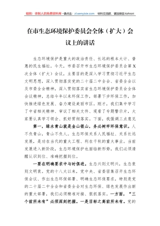 在市生态环境保护委员会全体（扩大）会议上的讲话