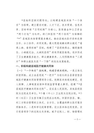 关于构建县域医疗健康共同体的情况汇报