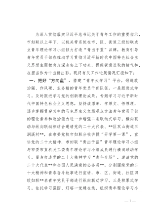 市妇联关于青年理论学习小组建设情况汇报