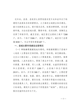 特色商圈建设运营情况的调研报告