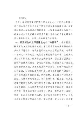 在全市民营经济高质量发展大会上的讲话