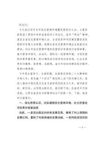 在全市优化营商环境暨民营经济大会上的讲话