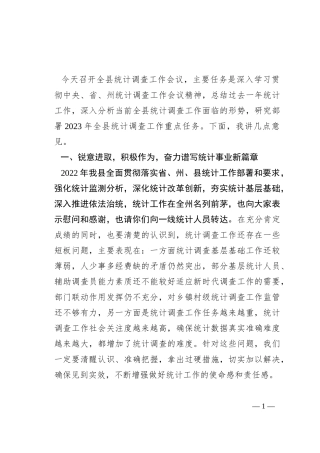在全县统计调查工作会议上的讲话