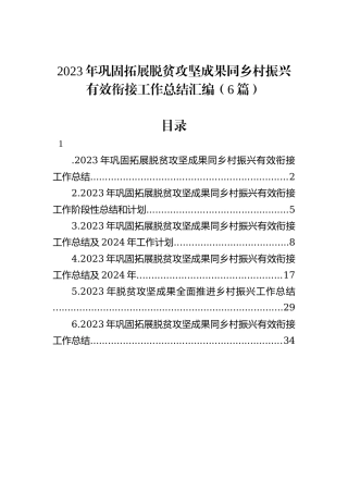 2023年巩固拓展脱贫攻坚成果同乡村振兴有效衔接工作总结汇编（6篇）