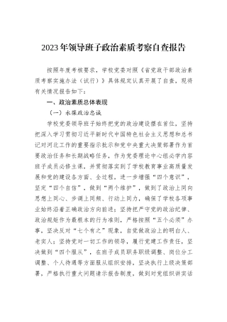 2023年领导班子政治素质考察自查报告