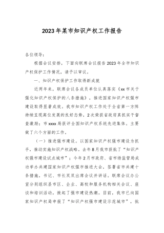 2023年某市知识产权工作报告