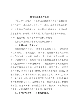 村书记助理工作总结