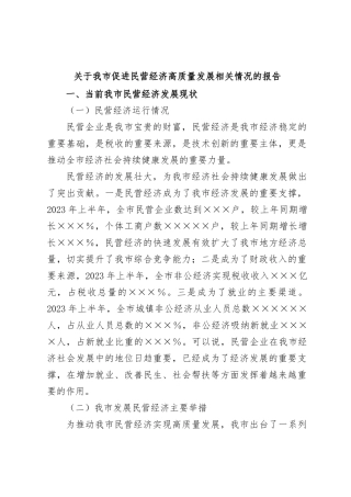 关于我市促进民营经济高质量发展相关情况的报告