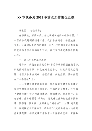 XX市税务局2023年重点工作情况汇报