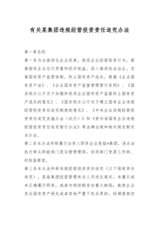 有关某集团违规经营投资责任追究办法