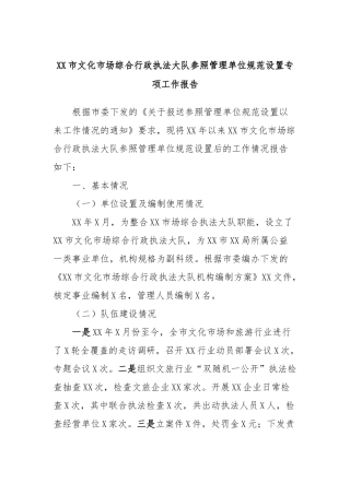 XX市文化市场综合行政执法大队参照管理单位规范设置专项工作报告