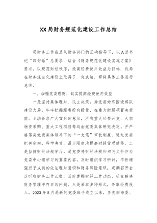 XX局财务规范化建设工作总结