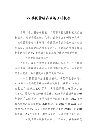 XX县民营经济发展调研报告