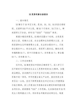 XX党委巡察自查报告