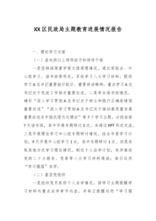 XX区民政局主题教育进展情况报告