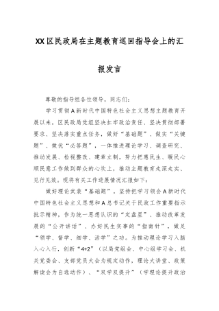 XX区民政局在主题教育巡回指导会上的汇报发言