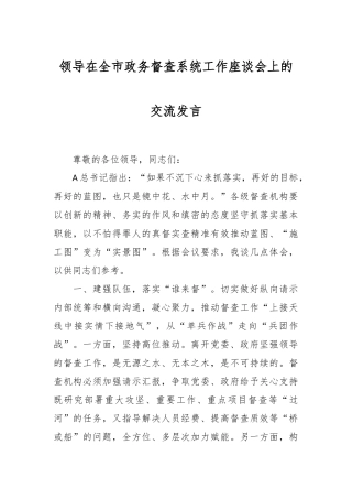 领导在全市政务督查系统工作座谈会上的交流发言
