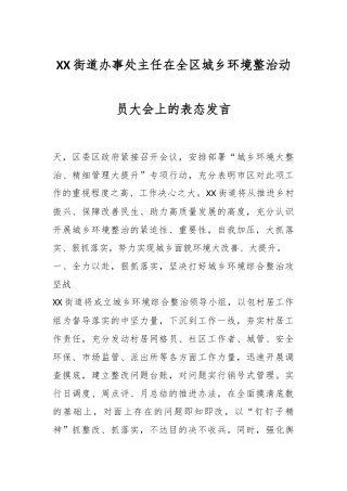 XX街道办事处主任在全区城乡环境整治动员大会上的表态发言
