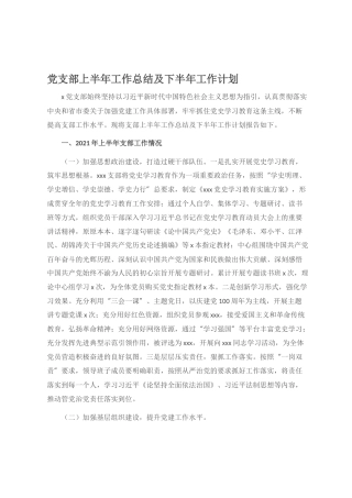 党支部上半年工作总结及 下半年工作计划