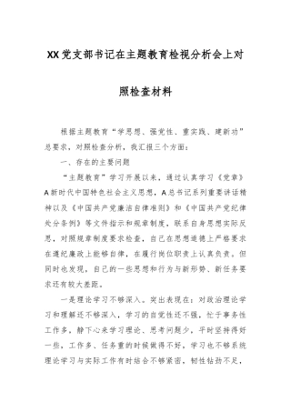 XX党支部书记在主题教育检视分析会上对照检查材料