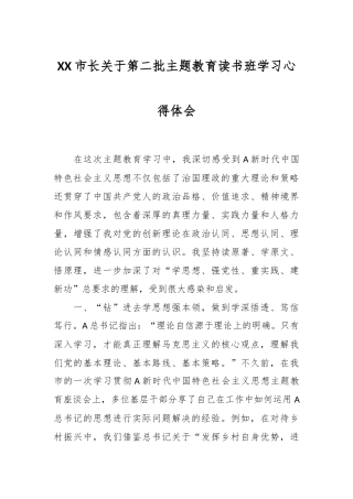 XX市长关于第二批主题教育读书班学习心得体会