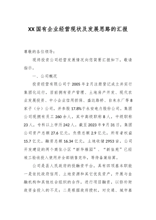 XX国有企业经营现状及发展思路的汇报