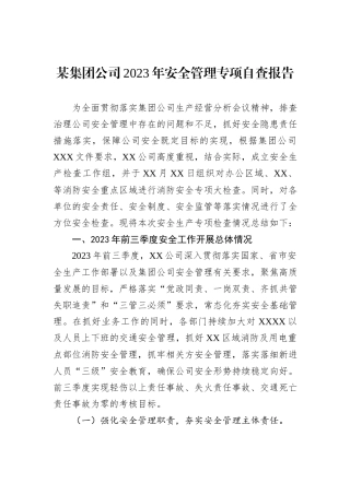 某集团公司2023年安全管理专项自查报告