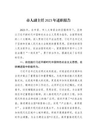 市人副主任2023年述职报告