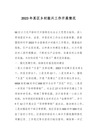 2023年某区乡村振兴工作开展情况