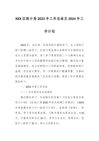 XXX区统计局2023年工作总结及2024年工作计划