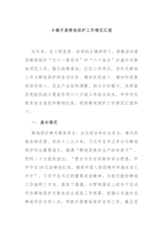 乡镇开展耕地保护工作情况汇报