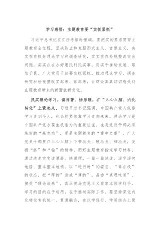 学习感悟：主题教育要“实抓紧抓”