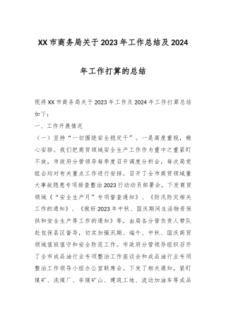 某市商务局关于2023年工作总结及2024年工作打算的总结