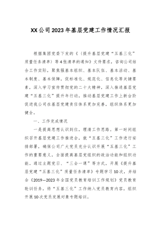 XX公司2023年基层党建工作情况汇报