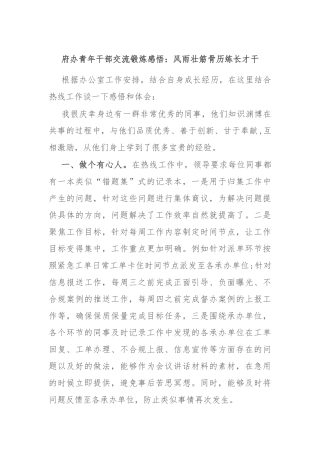 府办青年干部交流锻炼感悟：风雨壮筋骨 历练长才干