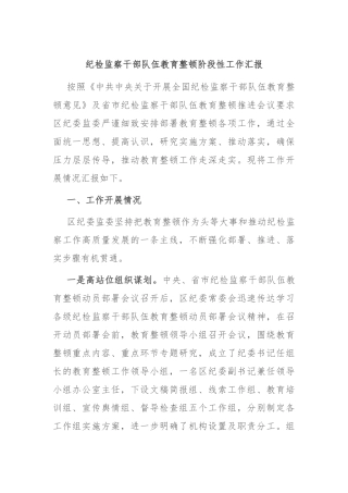 纪检监察干部队伍教育整顿阶段性工作汇报