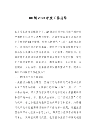 XX镇2023年度工作总结