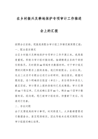 在乡村振兴及耕地保护专项审计工作推进会上的汇报
