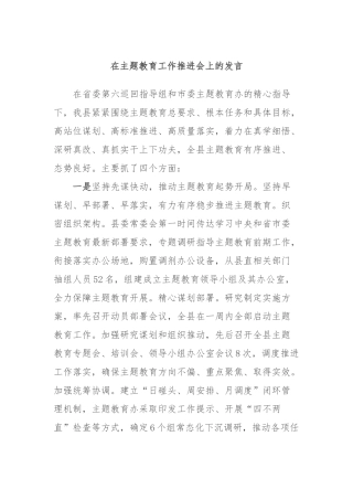 在主题教育工作推进会上的发言 (2)