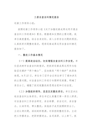 工委自查自纠情况报告