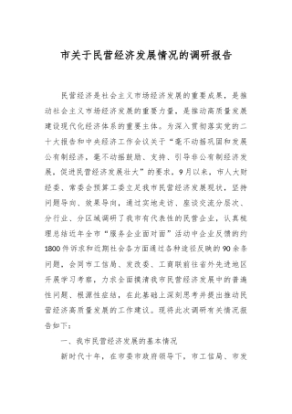 市关于民营经济发展情况的调研报告