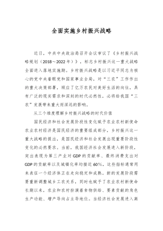 全面实施乡村振兴战略