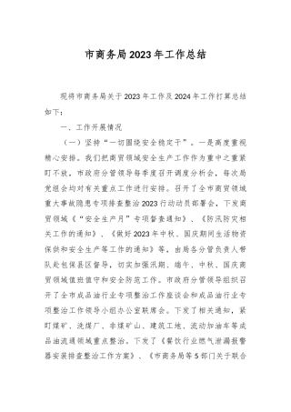 市商务局2023年工作总结