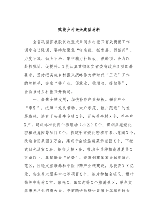 赋能乡村振兴典型材料