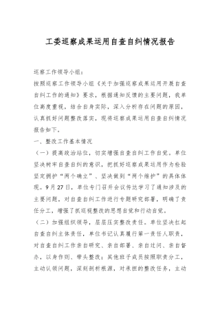 工委巡察成果运用自查自纠情况报告