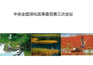 中央全面深化改革委员会第三次会议