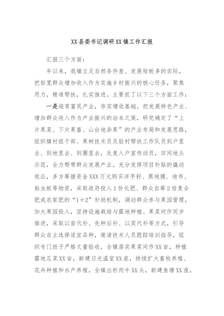 XX县委书记调研XX镇工作汇报_第1页