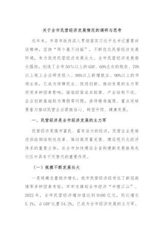关于全市民营经济发展情况的调研与思考