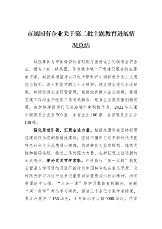 市属国有企业关于第二批主题教育进展情况总结